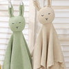 Baby Comforter